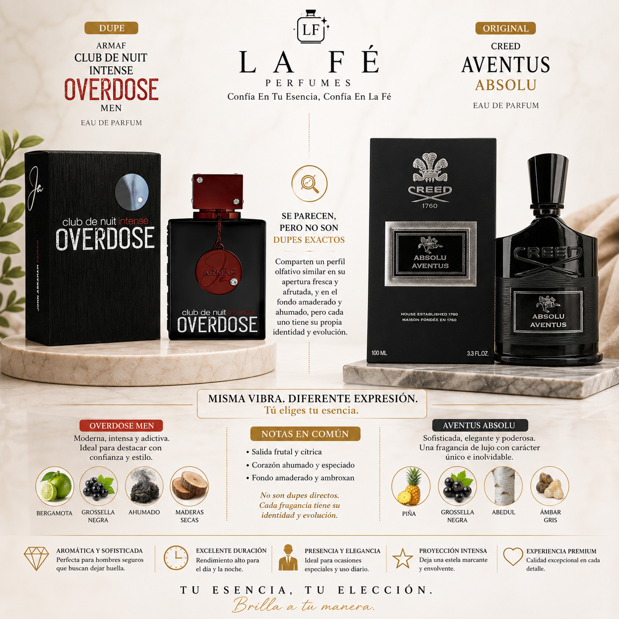 Armaf CDN Intense Overdose Men 100ml Extracto EDP